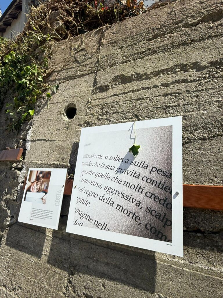 foto muraglione foglia arte fotografie artisti felicità collettività